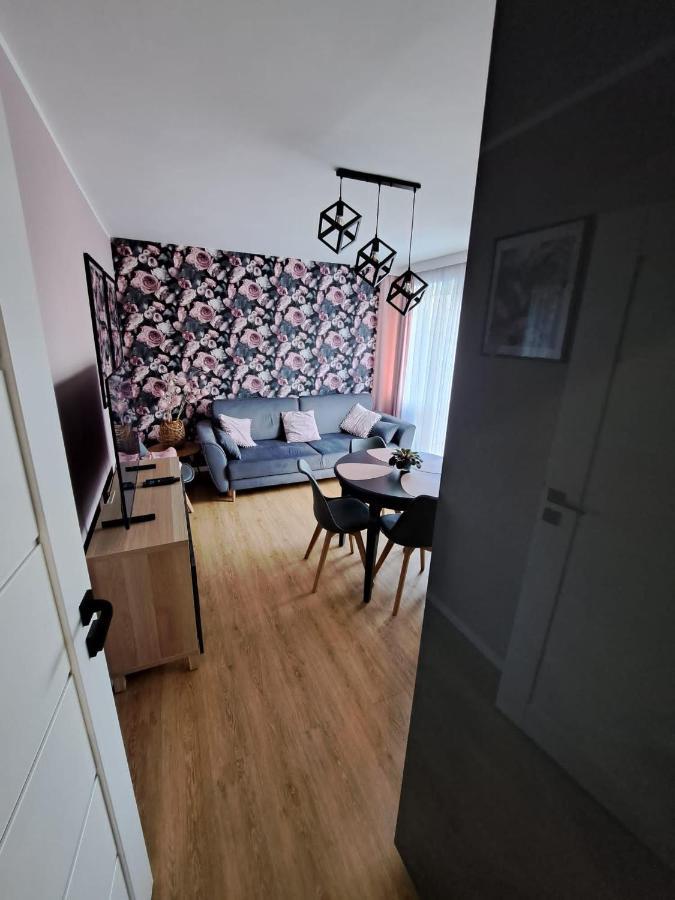 Apartament Matejko ชวีโนวิชแจ ภายนอก รูปภาพ
